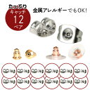 キャッチ 12ペア 金属アレルギー対応 サージカルステンレス お得 母の日