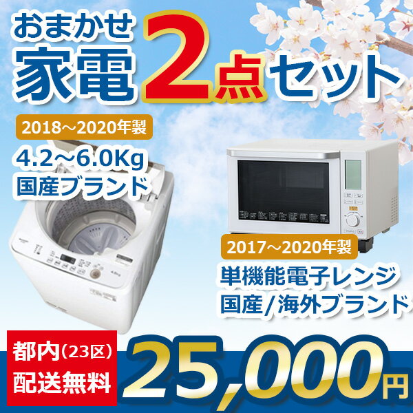 地域限定送料無料★おまかせ中古家電【2点セット】（洗濯機/電子レンジ）＜2017年～2020年＞