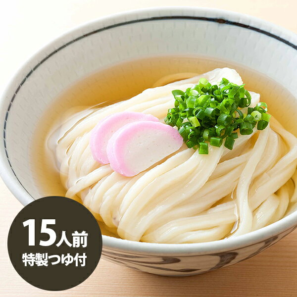 【送料無料】恐るべきさぬきうどん 15人前（半生麺300g×5 特製つゆ×15）人気うどん書籍とのコラボうどん！