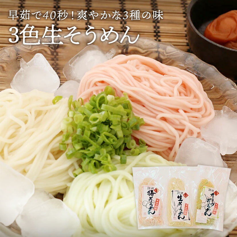 3色生そうめん（生そうめん/梅生そ