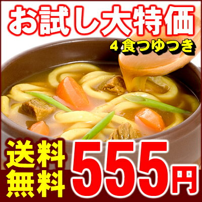 【讃岐うどん 送料無料　ゆうパケット】讃岐カレーうどん超お得GO!GO!GO!お試しセット（4食）【smtb-kd】【代引き不可】取材お断り！楽天限定販売！！「さぬきうどん」