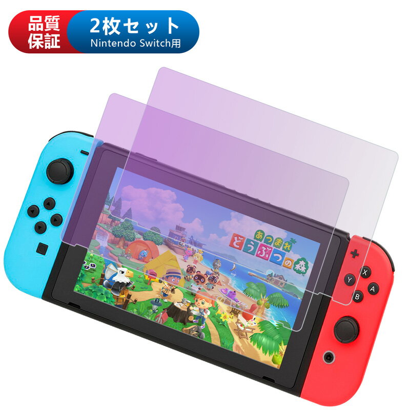 2枚入り Nintendo Switch 保護フィルム 