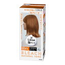 リーゼ 泡ブリーチ ナチュラルトーン (医薬部外品) 108ml KO 花王
