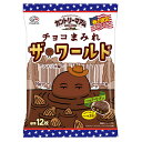 不二家 カントリーマアムチョコまみれザ・ワールド（アメリカ編） 122g×18箱入り(1ケース)（SB）