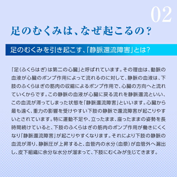【第1類医薬品】ベルフェミン (60カプセル) ※要承諾 承諾ボタンを押してください