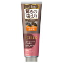 シエロ カラートリートメント 全体用 ダークブラウン 230g