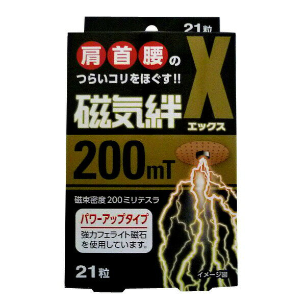 FJ磁気絆X21　21粒【管理医療機器】