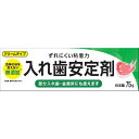 入れ歯安定剤 75g