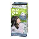 【医薬部外品】リーゼ 泡カラー アイスブルージュ (115ml)