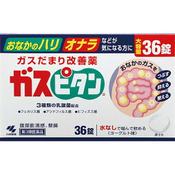 【第3類医薬品】ガスピタン大容量　36錠
