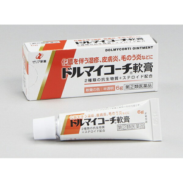 【指定第2類医薬品】ドルマイコーチ軟膏　6g 1