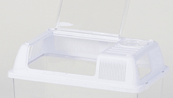 �������񡡥��󥳡���������ڡ������ͥ��ȥ�����M