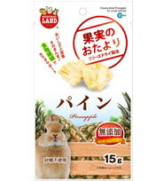 マルカン　果実のおたより　パイン　15g（フルーツ、うさぎ、おやつ）