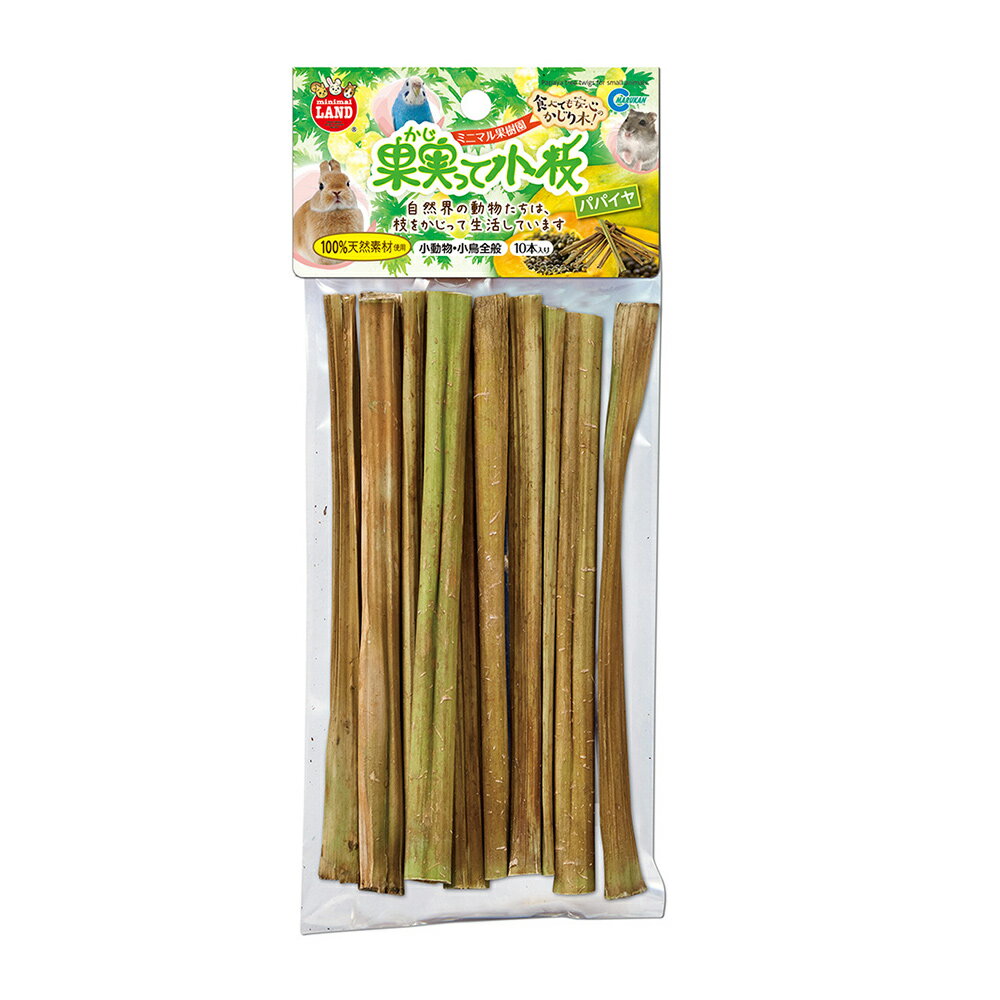 マルカン　果実って小枝パパイヤ　10本入り　[かじり木、うさぎ、ハムスター]