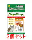 【お買い得】【3個セット】三晃商会 サンコー ベジドロップ・キャロット 50g×3個セット