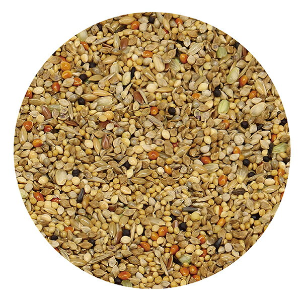 うさうさラビトリーの三晃商会　サンコー　ウェルバランス　文鳥　600g｜アングル2