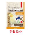 【お買い得】【3個セット】三晃商会 サンコー ウェルバランス オカメインコ 600g×3個セット