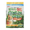 おいしいチモシーは、毎日食べる主食牧草として最適な、香り豊かで、茶葉が少ない、スーパープレミアムチモシーです。●香りにこだわった最高級グレードのチモシーを厳選して国内で袋詰めしています。●丈の長い牧草をすり潰しながら噛むことで、歯の伸びすぎを抑え、歯の健康維持をサポートします。●毎日主食として食べる牧草なので、高繊維でカロリーが低いチモシーが最適です。シングルプレス。【原産国】アメリカ【原材料】チモシー【成分表】粗たんぱく質：11．9％粗脂肪：1．69％粗繊維：37．3％粗灰分：8．3％水分：7．5％カルシウム：0．45％マグネシウム：0．13％リン：0．23％【内容量】650g【賞味期限】パッケージに記載 【保存方法】直射日光、高温・多湿の場所を避け、暗く涼しい場所で保管してください。 開封後は、お早めにお使いください。【販売元】GEX　大阪府東大阪市　