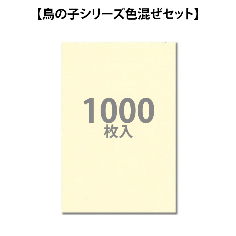 越前和紙 インクジェット用OA和紙 鳥の子(卵色) 厚口 A4 1000枚入り