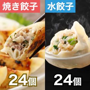 組み合わせ 焼餃24個 水餃24個 清緑