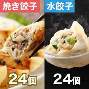 清緑園 巣鴨餃子 水餃子 焼き餃子 食べ比べセット 餃子 冷凍食品 母の日 父の日 ギフト おかず ぎょうざ 冷凍餃子 48個(水餃子12個×2袋、焼餃子12個×2袋)