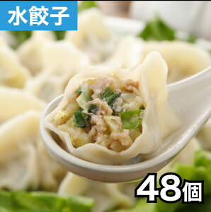 清緑園 巣鴨餃子 水餃子 餃子 冷凍食品 母の日 父の日 ギフト おかず ぎょうざ 冷凍餃子 おとりよせグルメ 国産食材厳選 48個入り (12個入り×4袋)