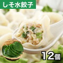 清緑園 巣鴨餃子 水餃子 しそ 餃子 冷凍食品 母の日 父の日 ギフト おかず ぎょうざ 冷凍餃子 おとりよせグルメ 国産食材厳選 12個入り