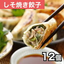 しその香りと肉汁とのハーモニー しそ焼餃子 12個 清緑園 巣鴨餃子 厳選食材 国産 豚肉 野菜 冷凍餃子 無ニンニク ボリューム満点 栄養満点 餃子パーティー 家飲み 惣菜 中華惣菜 お取り寄せ グルメ 餃子鍋 両親への贈り物 御礼 時短ランチ 夕食献立 贈り物