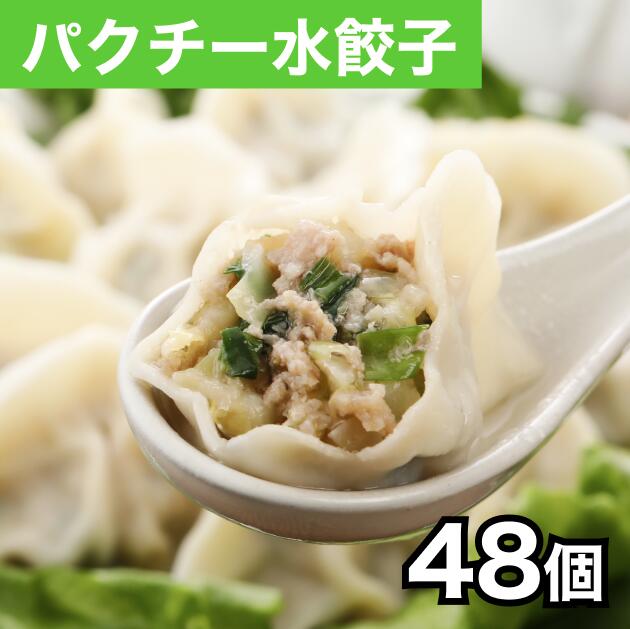 清緑園 巣鴨餃子 水餃子 パクチー 餃子 冷凍食品 母の日 父の日 ギフト おかず ぎょうざ 冷凍餃子 おとりよせグルメ 国産食材厳選 48個入り（12個入り×4袋）
