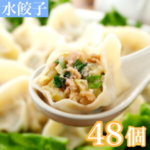 清緑園 巣鴨 餃子 冷凍 水餃子 48個 厳選食材 無ニンニク 手作り ボリューム満点 送料無料 冷凍配送 12個入り×4袋 冷凍配送 時短ランチ 夕飯献立 両親への贈り物 お中元 贈り物 誰かを元気に