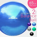 空気入れ エクササイズボール 65cm 直径 フットポンプ付き 【お買い得2セット】バランスボール