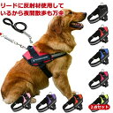 胴輪 首輪 犬用 小型犬 中型犬 大型犬 スプリング ペット 8の字ハーネス 通気性 ハーネス リードセット ドッグラン ドッググッズ 犬具 ペット用品 お散歩...