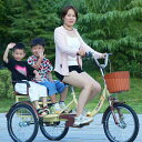 大人用三輪車 20インチ 三輪自転車 3輪自転車 大人用 収納便利 高齢者用 高さ調節可能 3輪バイク ダブルバスケット ダブルブレーキ 初心者の自転車 男性女性向け