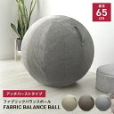 エク トレーニング ジムボール フィットネスボール イス 椅子 バランスボール 体幹トレーニング ヨガボール アンチバースト 65cm