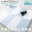 フロアマ 生活音 床暖房対応 キッズ 子供 赤ちゃん コンパクト 軽量 防水 防音 4cm 厚手 ベビーマット 折りたたみ プレイマット