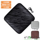 【ブラックフライデー 全品P10倍】ホットクッション ホットカーシート 電源USB接続タイプ 左右座席兼用 / 電気マット シートヒーター 暖房 座席 速暖 家...