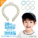 【~5/7 クーポン利用で10%OFF】【送料無料】 クールリング 6色選択 128g アイスネックリング