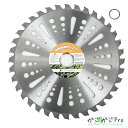 【〜5/7 クーポン利用で10%OFF】チップソー 230mm×36T 10枚セット Type-C / 草刈り機用替刃 草刈 草刈用 刃 刈払機 刈 替刃 刈払...