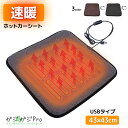 【~4/20 先着限定クーポン利用で10%OFF】【クリックポスト】ヒートシート ホットカーシート 速暖 3色選択 USB接続タイプ 左右座席兼用 電気マット ...