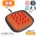 【~4/20 先着限定クーポン利用で10%OFF】【クリックポスト】ホットクッション ホットカーシート 即暖 5色選択 USB接続タイプ 左右座席兼用 / 電気...