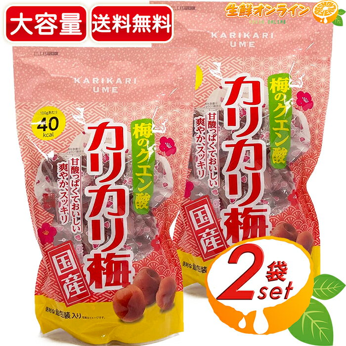 ≪530g×2袋セット≫【京華】梅のクエン酸 カリカリ梅 国産 個包装 種あり 梅干し おやつ おつまみ 駄菓子 クエン酸 夏バテ 塩分補給 国産梅【costco コストコ コストコ通販】★送料無料★