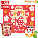 ≪12個入≫【Calbee】じゃがりこ 梅味 624g (52g×12個) 大容量 業務用 カルビー スナック菓子 お菓子 おやつ まとめ買い ストック プレゼント ギフト シェアパック イベント お祭り 景品【costco コストコ コストコ通販】★送料無料★