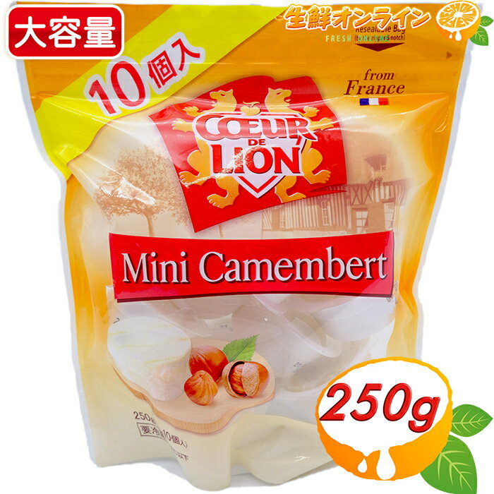 【COEUR DE LION】クールドリオン ミニ カマンベールチーズ 250g(10個入り) フランス産 クリーミーで濃厚♪ クールドリヨン【costco コストコ】