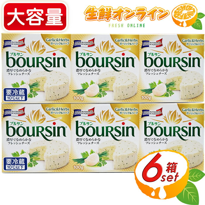 ≪6箱入≫ブルサン ガーリック＆ハーブ 600g (100g×6パック) 大容量！ 国産 チーズ ◇濃厚でなめらかなフレッシュチーズ♪◇ ナチュラルチーズ フレッシュフレーバー チーズ Garlic&Herbs