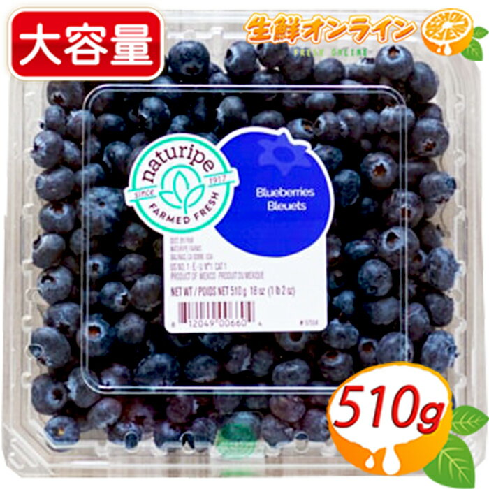 ≪510g≫ ◎期間限定◎ 大容量！生ブルーベリー ◎若返りのビタミン◎ ブルーベリー スムージー ヨーグルト ジャム 果物 フルーツ Blueberries クール冷蔵