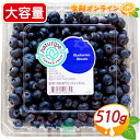 商品説明 商品名 コストコ ブルーベリー Blueberries 内容量(1ケース) 510g 輸入者 コストコホールセールジャパン株式会社 商品説明 ◎期間限定フルーツの「ブルーベリー」◎ 酸味と甘みのバランスが良い、生のブルーベリー！ ブルーベリーにはビタミンC、ビタミンE、食物繊維、ミネラル、アントシアニンなどの栄養素が含まれています♪ そのため、若返りのビタミンと呼ばれることもあります！ ブルーベリーは、スーパーフードと呼ばれるほどの健康効果が期待できる果物です。 朝食やおやつ、スムージー、ヨーグルトに入れて食べたりするのもいいですね♪ 皮を剥くことなく食べることができるので、手軽に食べれるのは嬉しいですね！ 【ご注意】 ※期間限定の商品となりますので、ご注文頂くタイミングにより、 急な欠品が発生する場合がございます。 また時期により、パッケージデザインや商品内容、製造元等が予告なく変更となる場合がございます。 予めご了承下さいませ。 他の商品と同時にご注文いただき、コストコ店舗で在庫がない場合は欠品商品を除き出荷させていただく場合がございます。 ◎期間限定の商品をご希望の場合は、欠品リスクを減らすため、極力指定日を入力せず『最短納期』でのご注文をおススメしております◎ また、運送時の揺れ等で商品に痛みがでる可能性がございます。 上記の内容はご注文頂いた時点で了承を頂いたものとさせて頂きます。