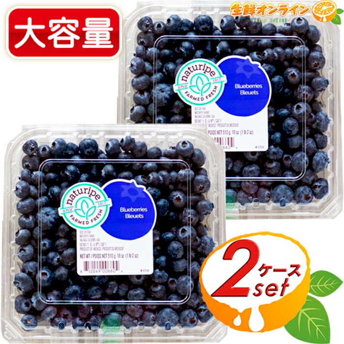 510g~2P[X Ԍ聝 eʁIyRXgRz u[x[ Ԃ̃r^~ u[x[ X[W[ [Og W ʕ t[c Blueberries N[①ycostco RXgR RXgRʔ́z