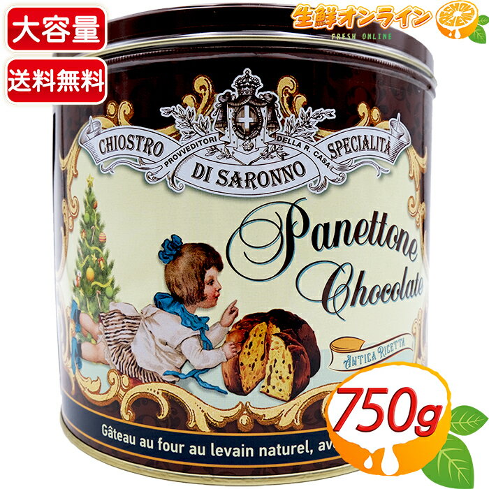 ≪750g≫【Saronno】サロンノ チョコチップパネトーネ サローノ チョコチップ パネトーネ サロノ パネットーネ チョコパネトーネ コストコ パネトーネ パンケーキ ケーキ チョコパン クリスマス【costco コストコ コストコ通販】★送料無料★