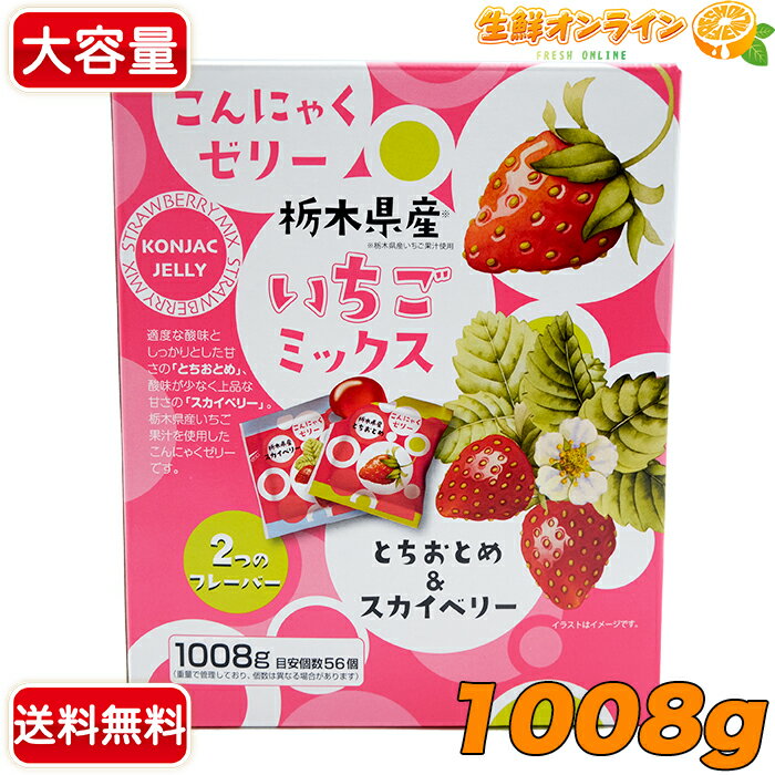 ≪1008g≫【雪国アグリ】こんにゃくゼリー いちごミックス とちおとめ&スカイベリー ◇目安個数56個◇ パウチタイプ 洋生菓子 いちごゼリー 苺ゼリー フルーツゼリー【costco コストコ コストコ通販】★送料無料★