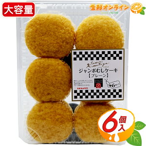 ≪6個入≫【札幌木村屋】札幌キムラヤ ジャンボむしケーキ プレーン ◎口溶けの良い蒸しケーキ◎ 蒸しパン 菓子パン 木村屋總本店 パン クール冷凍【costco コストコ コストコ通販】